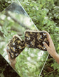 Sumatran Tiger Clutch, Black - EcoArtisans
